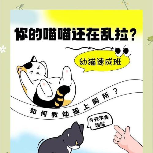 小猫上厕所的全攻略（轻松教会小猫学会上厕所的秘籍）