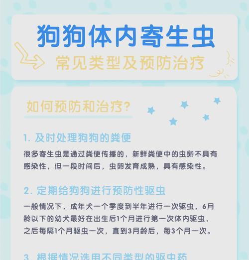 小狗肚子里的寄生虫（了解小狗肚子里的常见寄生虫及防治方法）