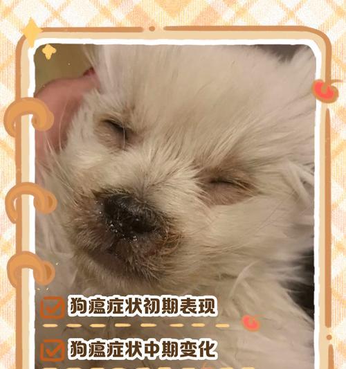 狗狗患犬瘟热怎么办？——铲屎官的必备预防指南（全方位保护你的狗狗免受犬瘟热的侵袭！）