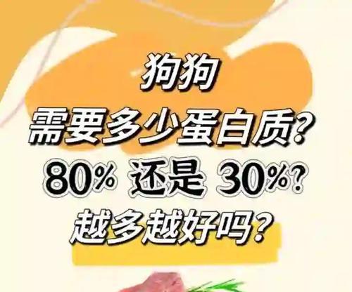 狗狗减肥，摄入适量卡路里是关键（减轻狗狗减肥痛苦的小秘诀）