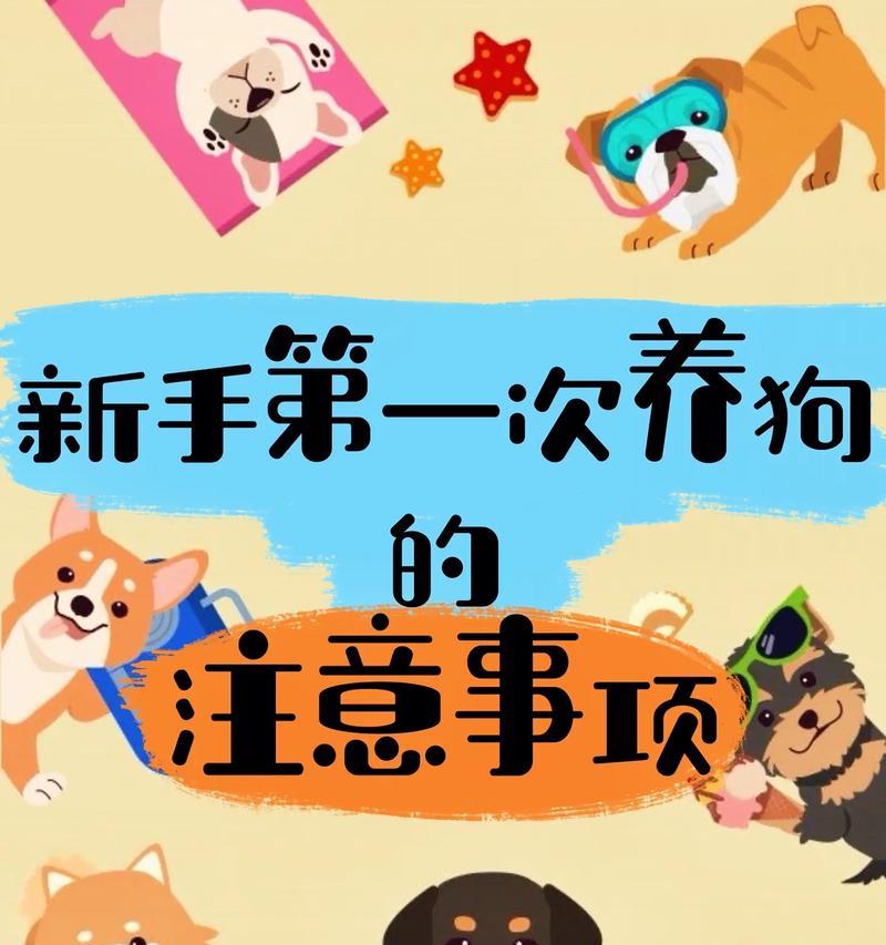 第一次养狗如何选择适合的狗品种（新手能否选择贵宾犬作为宠物？）