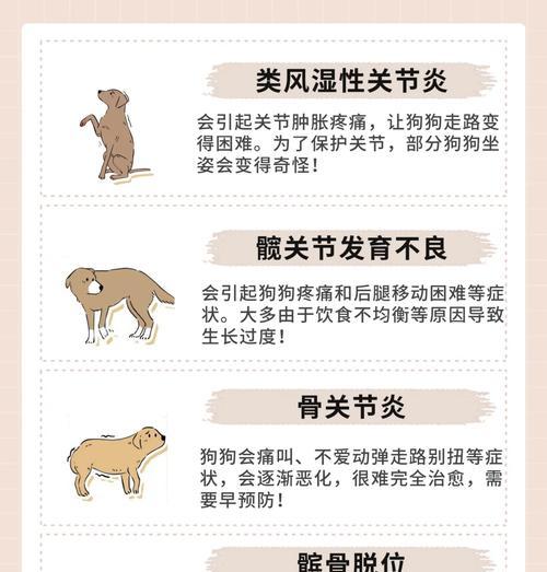 狗狗的蹭你行为意味着什么？（揭示狗狗蹭你的真实心理想法）