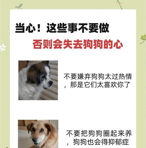 狗狗禁入之地（了解这些地方，让你的狗狗更健康幸福）