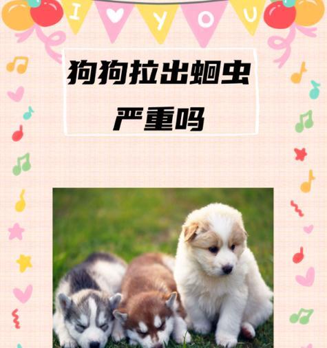 解决狗狗拉稀、不吃东西、精神不振的问题（保护宠物狗健康的关键措施及治疗建议）