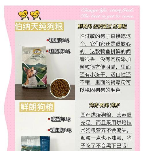 新手铲屎官的幼犬饲养指南（了解幼犬的饮食需求，轻松养活可爱的小家伙）
