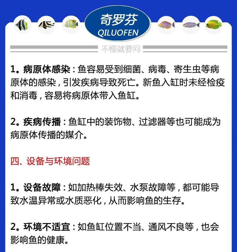 以鱼过水（从快乐寻找平衡，如何过上理想生活？）
