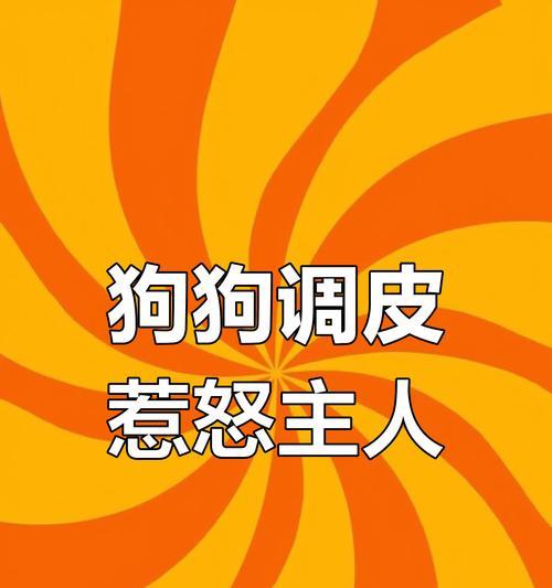 如何有效教训不听话的狗狗（正向引导）