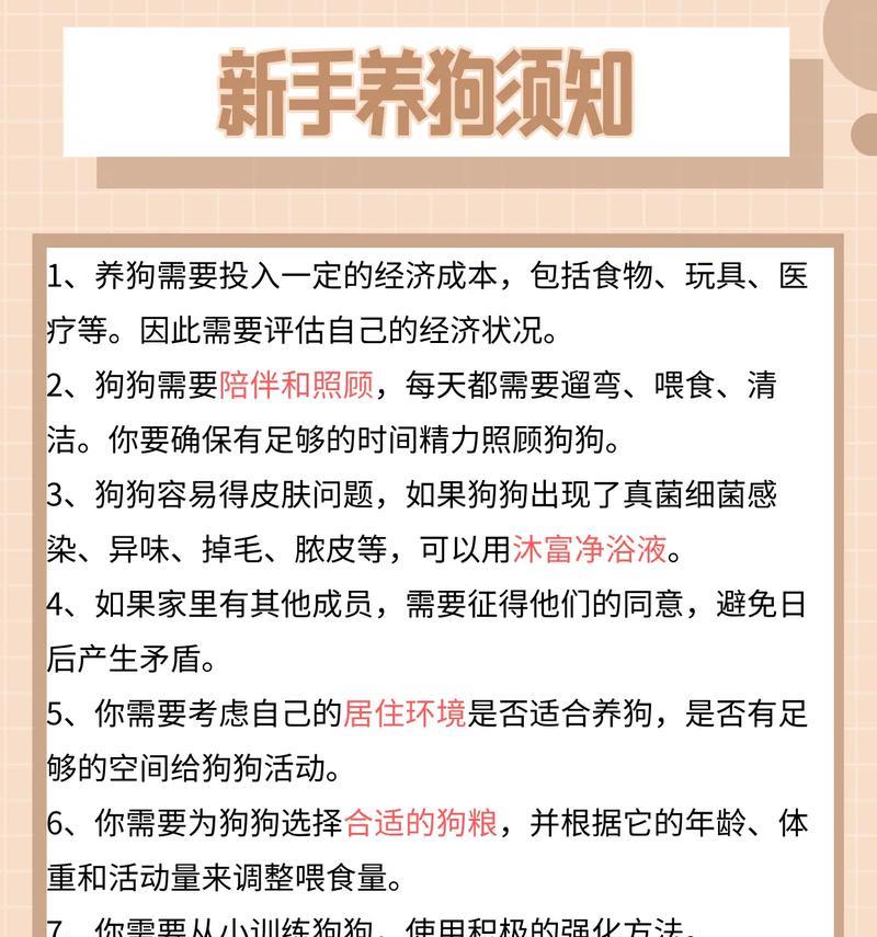 养金毛需要注意什么？（新手养狗的须知，让你成为贴心狗主人）