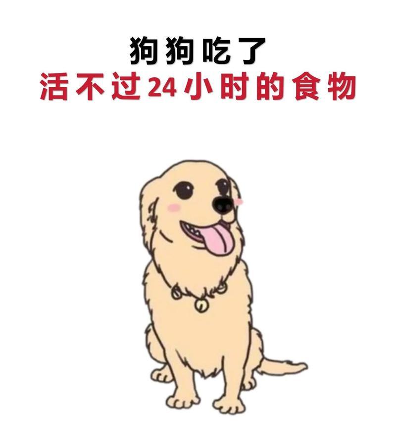 狗狗不能吃的食物和药品（了解狗狗的食物和药品禁忌，守护它们的健康生活）