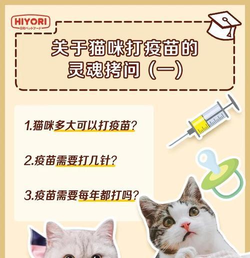 猫疫苗后合适的洗澡时间（保护宠物健康，正确掌握洗澡时机）