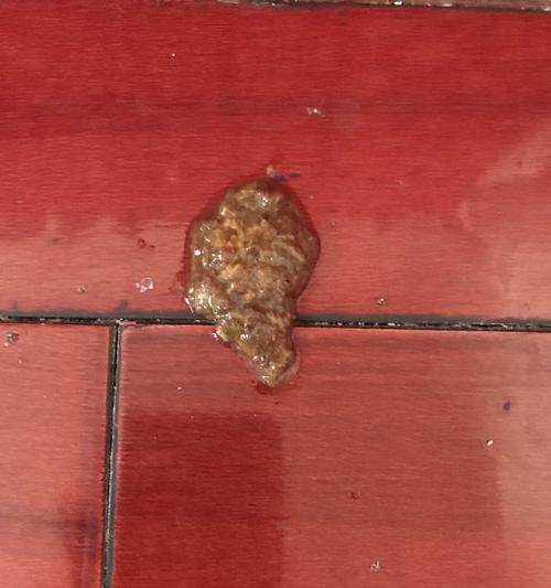 幼犬打虫（养犬必备，保护幼犬健康的关键一步）