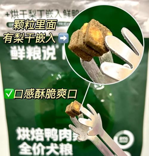 狗粮泡水的最佳时间和方法（科学饲养从泡水开始，让你的爱犬吃得更健康）