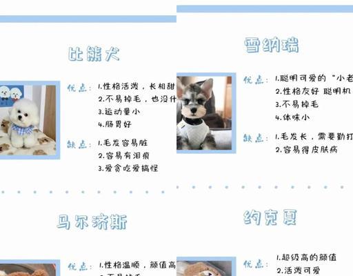 揭秘狗狗的七大天生习性（狗狗的习惯是如何影响它们的行为和生活的）