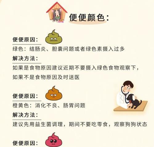 狗狗进食后多久排便？（揭秘狗狗消化过程中的时间节点）