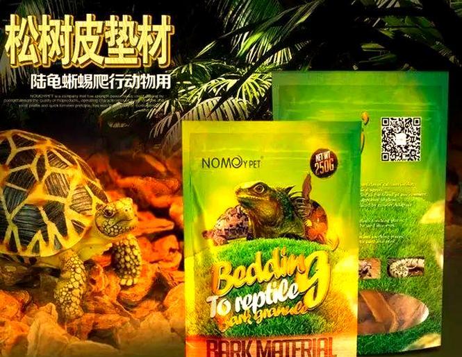 常见陆龟饲养指南（快速入门，让你成为合格的陆龟爸妈）