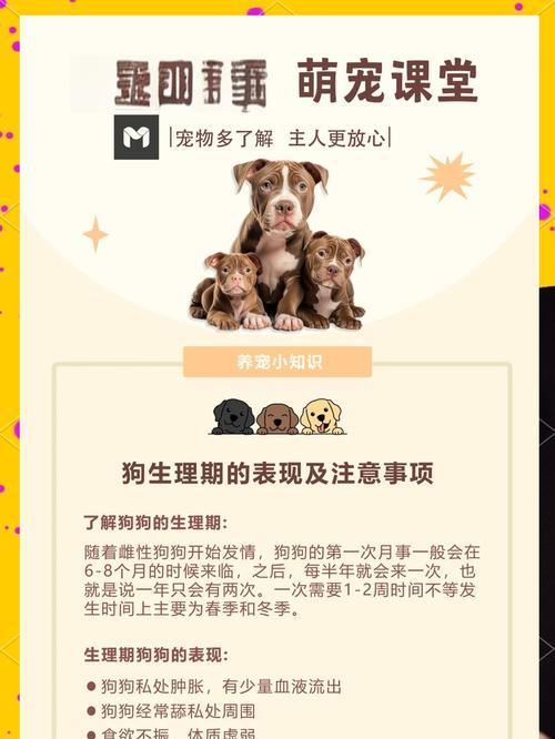 泰迪狗狗的生理期（泰迪狗狗生理期的持续时间、频率和照顾指南）