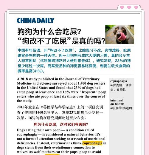狗狗消化系统的奥秘（揭开狗狗消化系统的神秘面纱，了解为什么狗狗消化迅速！）