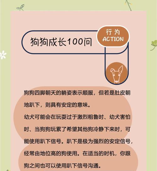 狗狗躺着的时间对恢复的影响（研究发现躺着时间过长可能导致恢复困难）