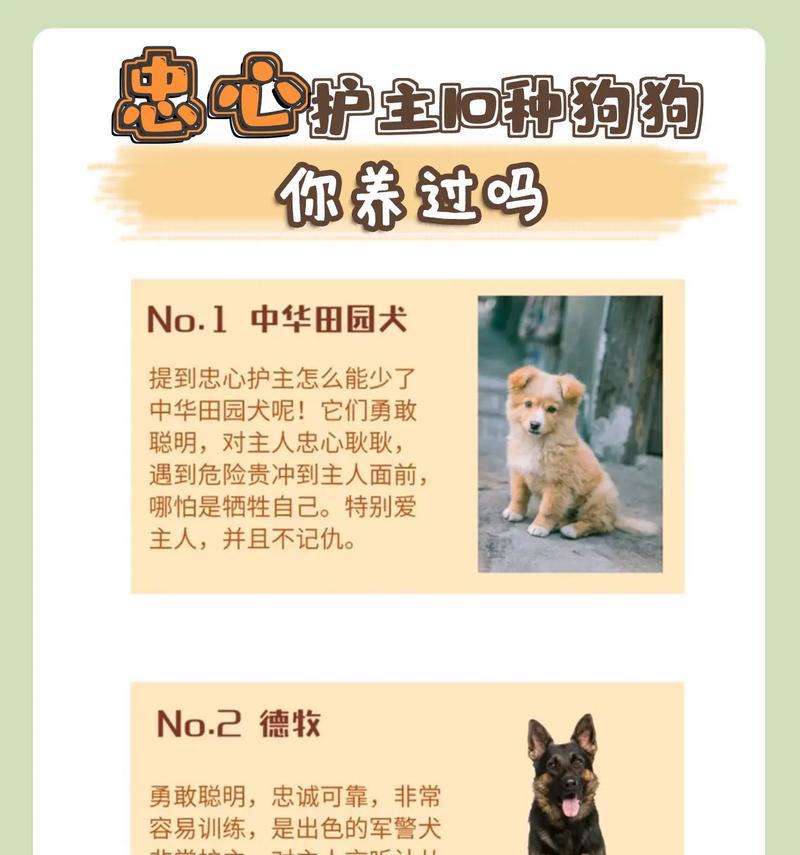 如何判断狗狗是否快要生产？（狗狗生产前的常见表现与判断方法）