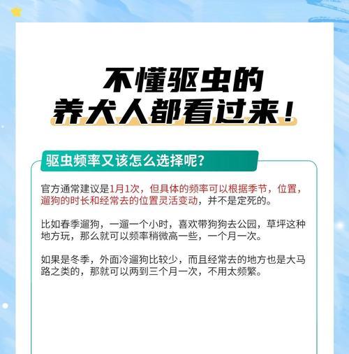 宠物狗成年后多久需要驱虫？（为了宠物狗的健康，定期驱虫是必要的）