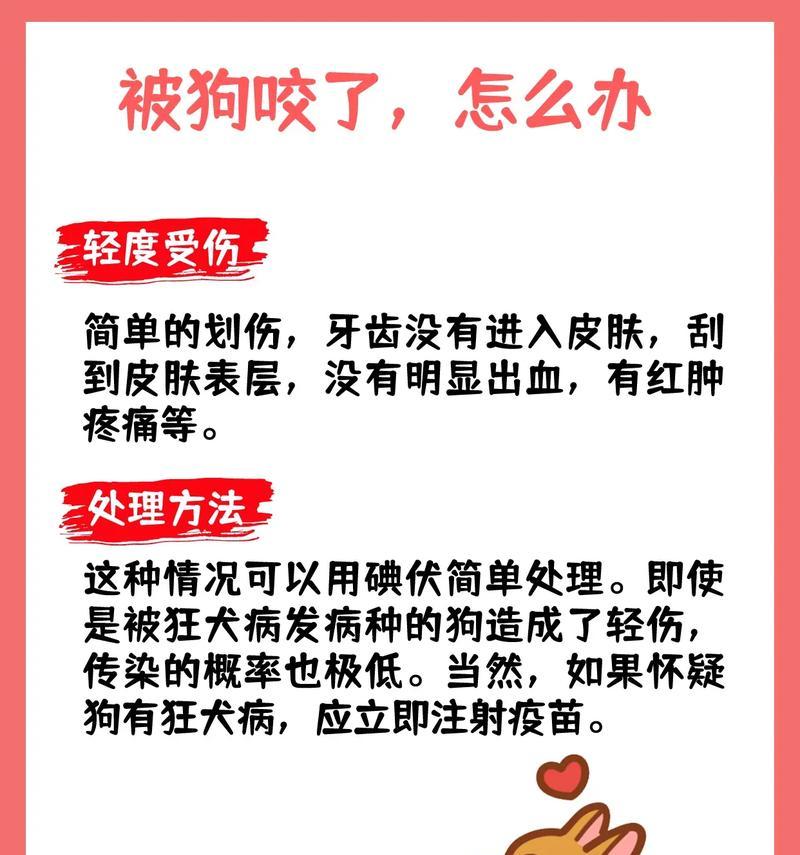 狗咬伤后打针多久有效？（狗咬伤预防措施和打针周期解析）