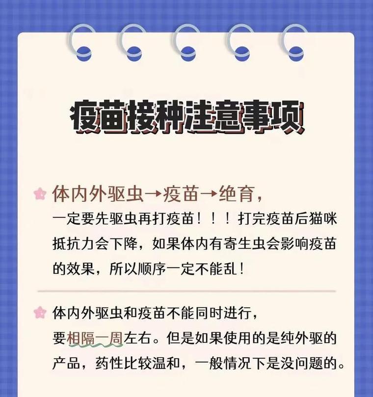 小猫疫苗注射时间与注意事项（打疫苗的最佳时机和保护你的小猫免受疾病的方法）