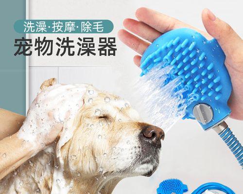泰迪狗狗洗澡频率的重要性（了解泰迪狗狗洗澡的最佳频率和注意事项）
