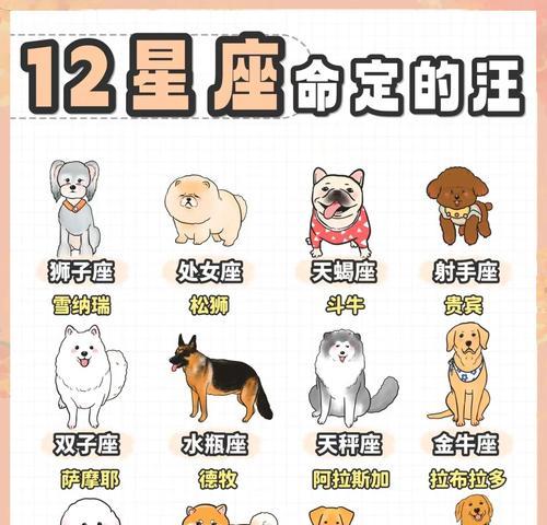 狗狗配对之旅（了解狗狗配对的关键要素，让你的宠物生活更幸福）