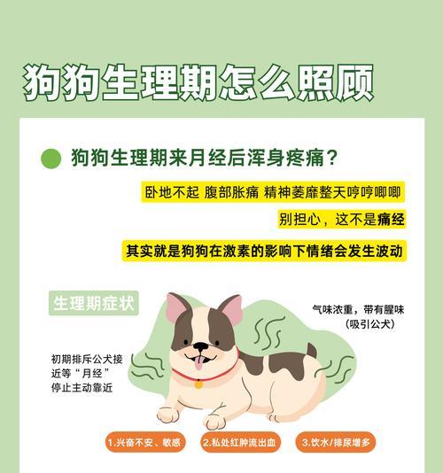 狗狗经期——了解你的宠物的生理周期（狗狗经期的周期及注意事项）