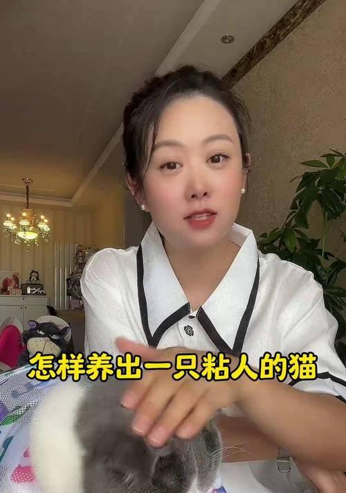 养猫多久会粘人？（探究猫咪与主人的亲密关系）