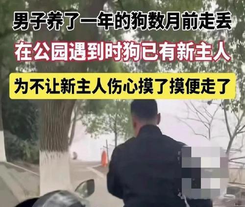 长沙人的边牧丢了？捡狗人将带回老家（晨意帮忙揭秘失踪的边牧，持续寻找主人）