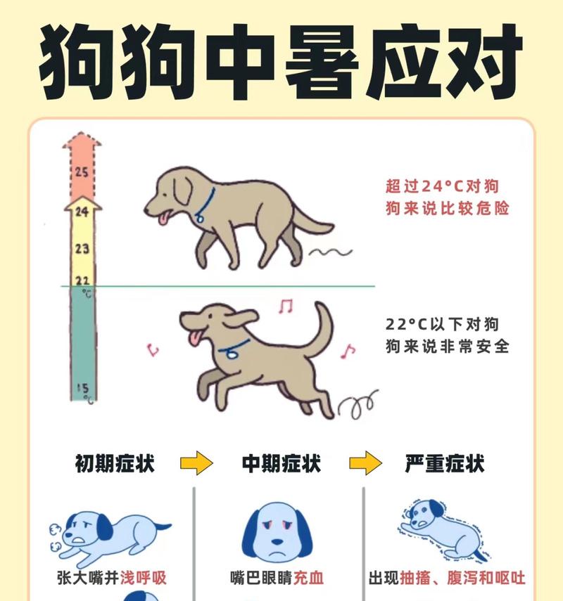 犬瘟热潜伏期揭秘（科学解读犬瘟热的潜伏期，让你了解宠物的健康）