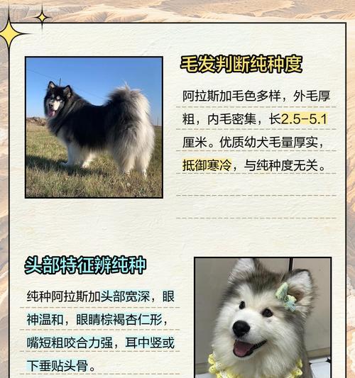 探秘阿拉斯加毛发生长周期（揭秘阿拉斯加毛剃光后生长的奥秘，你知道吗？）