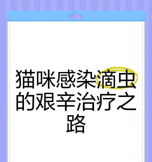 揭秘猫咪绦虫病（小猫柔弱身体隐藏的恶魔！保护你的爱宠关键在于早期发现和治疗）