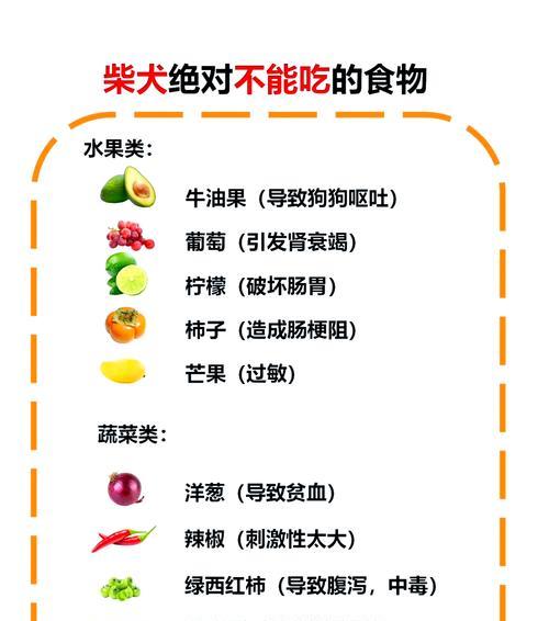 柴犬拉稀但精神状态跟食量很好，究竟为何？（解析柴犬拉稀情况中的健康秘密与调理方法）