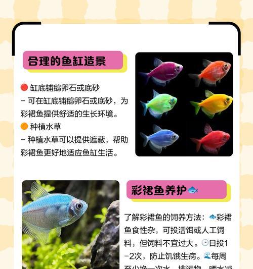 五彩青蛙鱼的寿命之谜（探索五彩青蛙鱼寿命的关键因素）