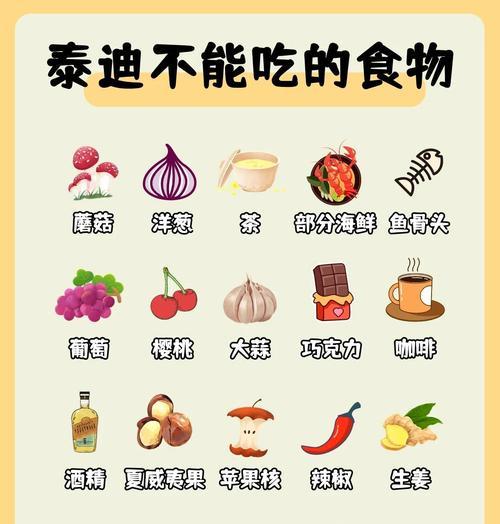 泰迪犬饮食注意事项（如何处理泰迪犬吃多了的情况）