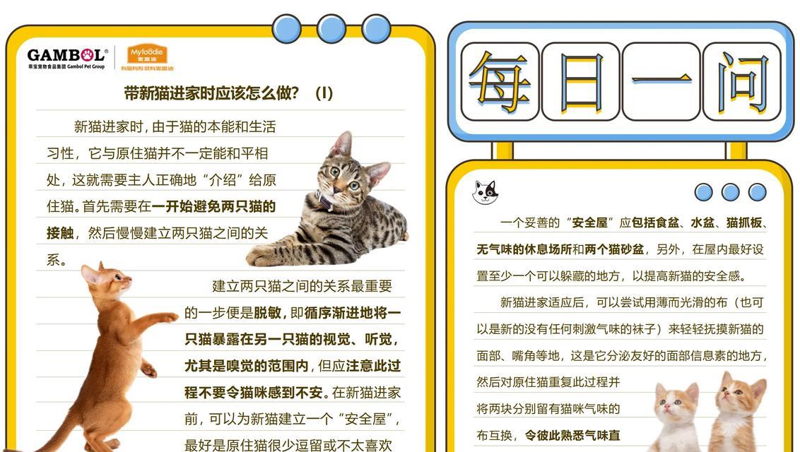 两只猫相处时间和配对的关键（探究两只猫相处多久才能成为伙伴的关键）