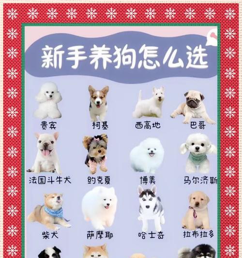 以巴哥生小狗狗多久能洗澡？（了解适合巴哥宝宝的洗澡时间，让他们健康快乐成长）