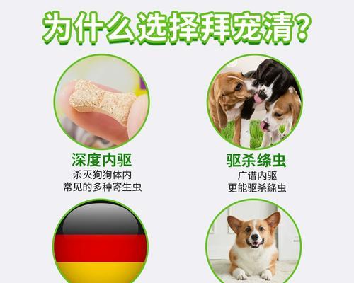 狗狗体内驱虫的频率与方法（了解狗狗的驱虫需求及如何有效预防）