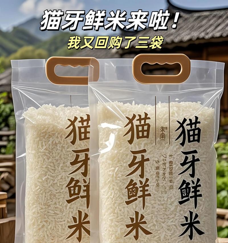 小猫牙齿生长周期的探究（从出生到成年，小猫牙齿的成长与护理）