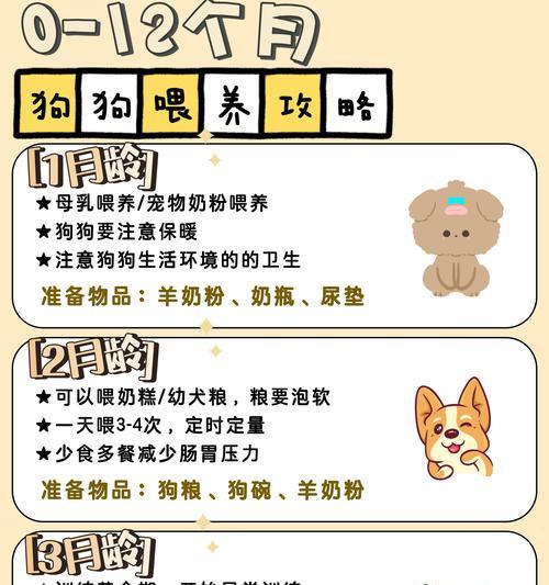 狗狗体温测多久才准确？（如何正确测量狗狗的体温及注意事项）