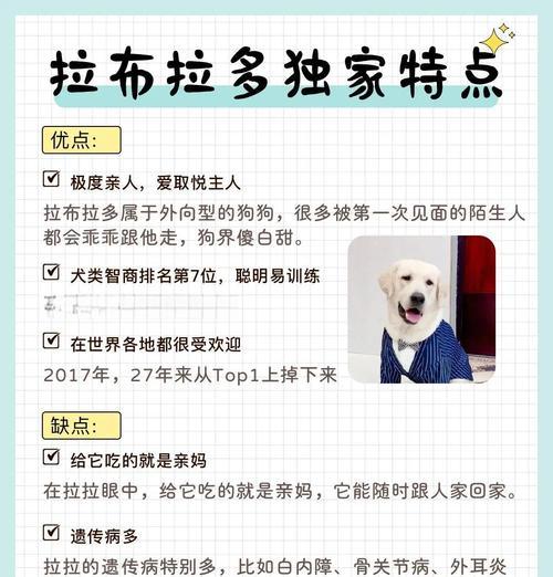 拉不拉多幼犬洗澡时间的选择（了解幼犬洗澡的最佳时机和频率）