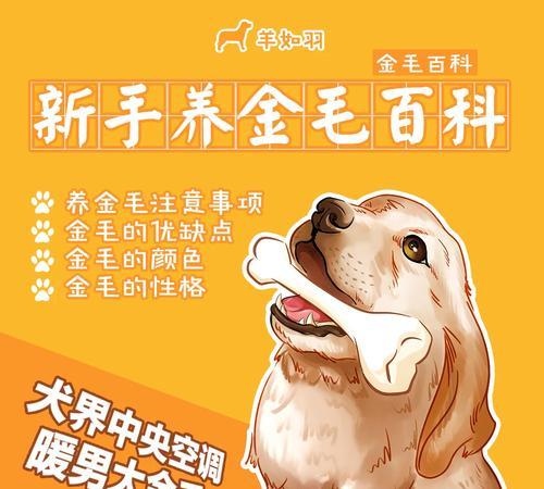 金毛洗澡注意事项（以饲养金毛的6大关键注意事项）