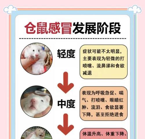 仓鼠生病的常见症状及应对方法（仓鼠主人必读！快速判断仓鼠生病的15个关键症状及应对措施）
