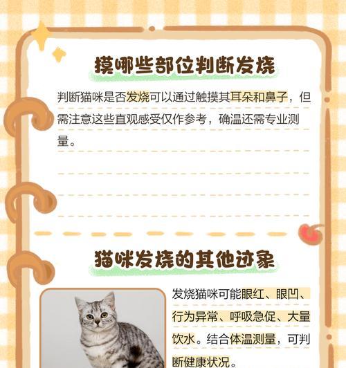 如何判断猫咪是否发烧？温度多少正常？（了解猫咪的正常体温和发烧症状的方法）
