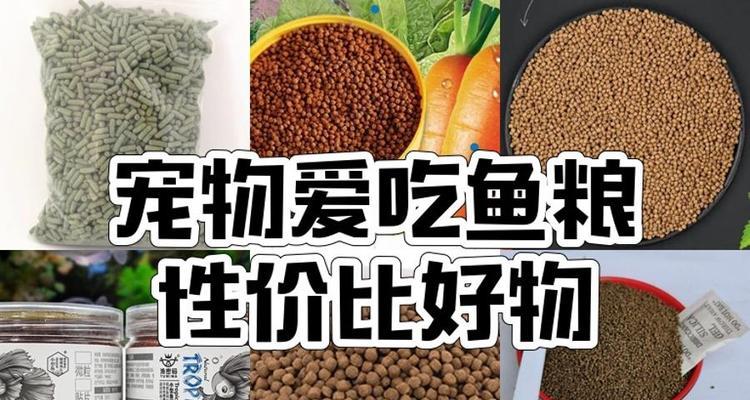 饲养鱼类的合理投食量及最佳投食时间（以鱼食一天喂多少合适？什么时候投放鱼粮比较好？）