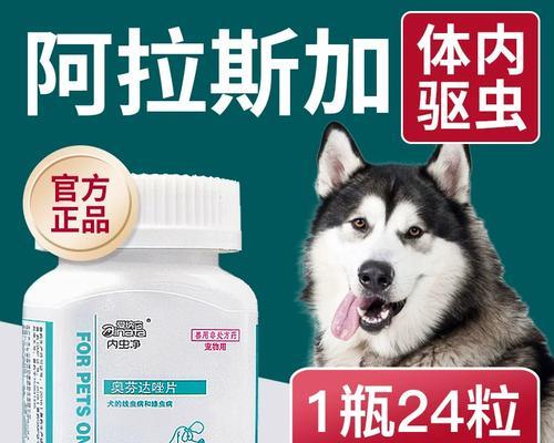 阿拉斯加每多久需要体内驱虫一次？（了解阿拉斯加驱虫频率的关键因素及建议）