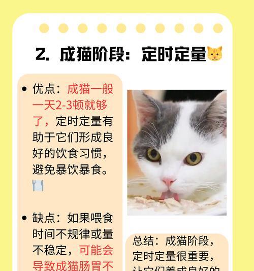猫咪缺钙的康复时间及方法探究（了解猫咪缺钙的周期和有效治疗手段）