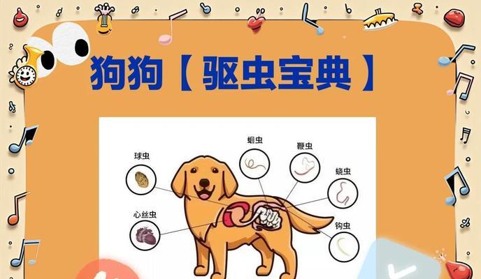 科学养狗之驱除球虫的正确频率（打破迷思，如何科学地为狗狗驱虫）